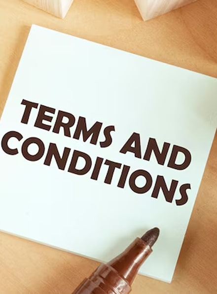 TERMS AND CONDITIONS