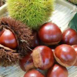Hạt dẻ Ibaraki Nhật Bản gói 250g