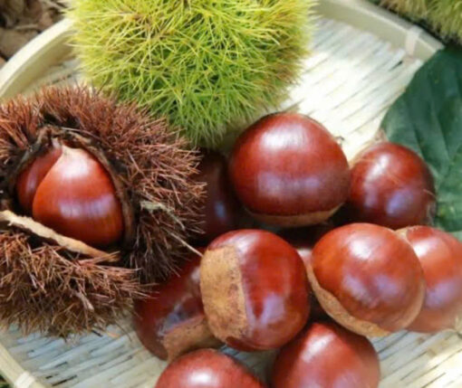 Hạt dẻ Ibaraki Nhật Bản gói 250g