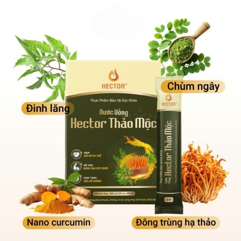 HECTOR - Nước uống từ Nấm Đông Trùng Hạ Thảo vị Thảo mộc thiên nhiên hỗ trợ sức khoẻ dạng gói (25ml x10 gói)